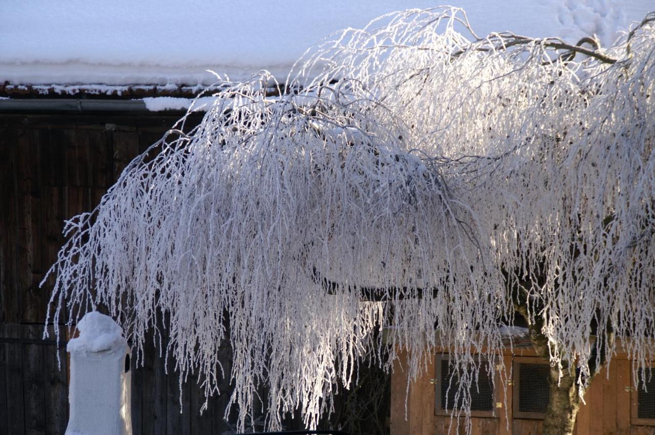 Ferienwohnung Hofleben Reiner Neukirchen vorm Wald Exteriör bild